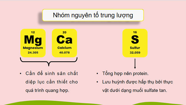 Phân bón hóa học 