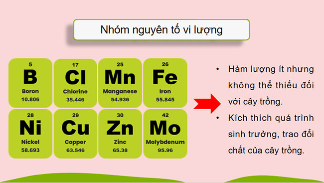 Phân bón hóa học 