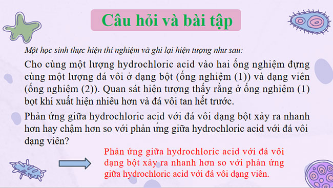 Tốc độ phản ứng và chất xúc tác