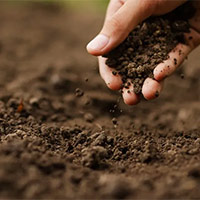 PowerPoint Khoa học 5 Bài 1: Đất và bảo vệ môi trường đất