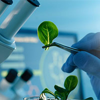 PowerPoint Khoa học 5 Ôn tập cuối năm