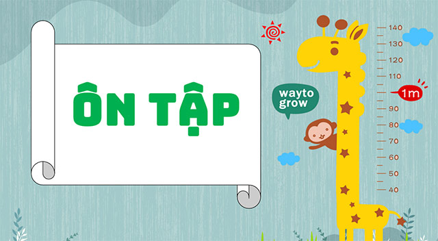 PowerPoint Ôn tập cuối năm