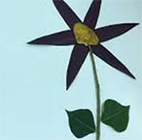 Giáo án mầm non: Tạo hình từ lá cây