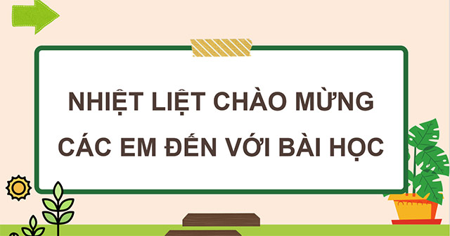 PowerPoint Thành phần và vai trò của đất