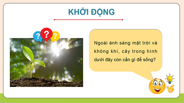 PowerPoint Thành phần và vai trò của đất