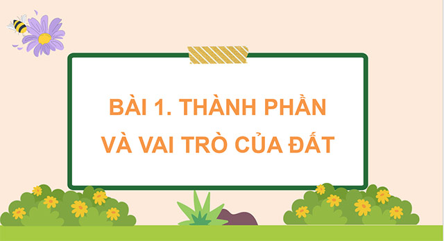 PowerPoint Thành phần và vai trò của đất