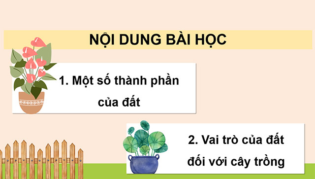 PowerPoint Thành phần và vai trò của đất