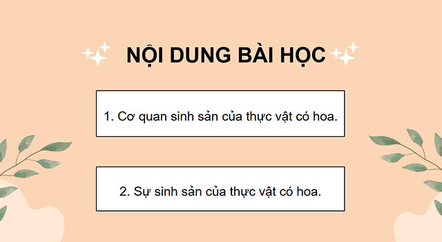 PowerPoint Sự sinh sản của thực vật có hoa