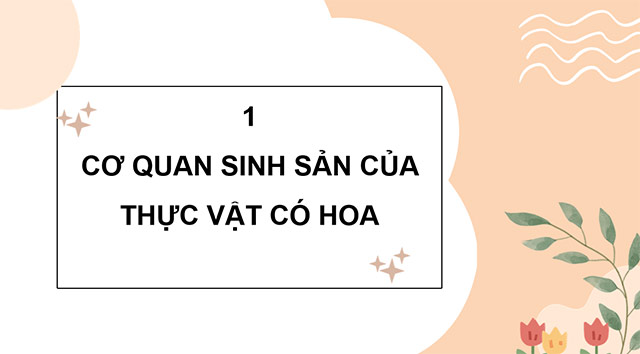 PowerPoint Sự sinh sản của thực vật có hoa