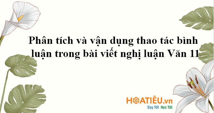 Phân tích và vận dụng thao tác bình luận trong bài viết nghị luận Văn 11