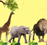 Giáo án mầm non: Động vật sống ở khắp nơi