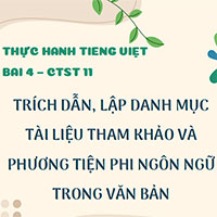 PowerPoint Ngữ Văn 11 Bài 4: Thực hành tiếng Việt