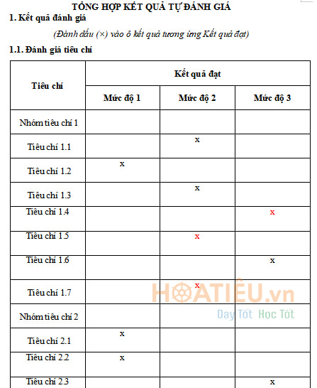 Mẫu Báo cáo tự đánh giá mức độ chuyển đổi số