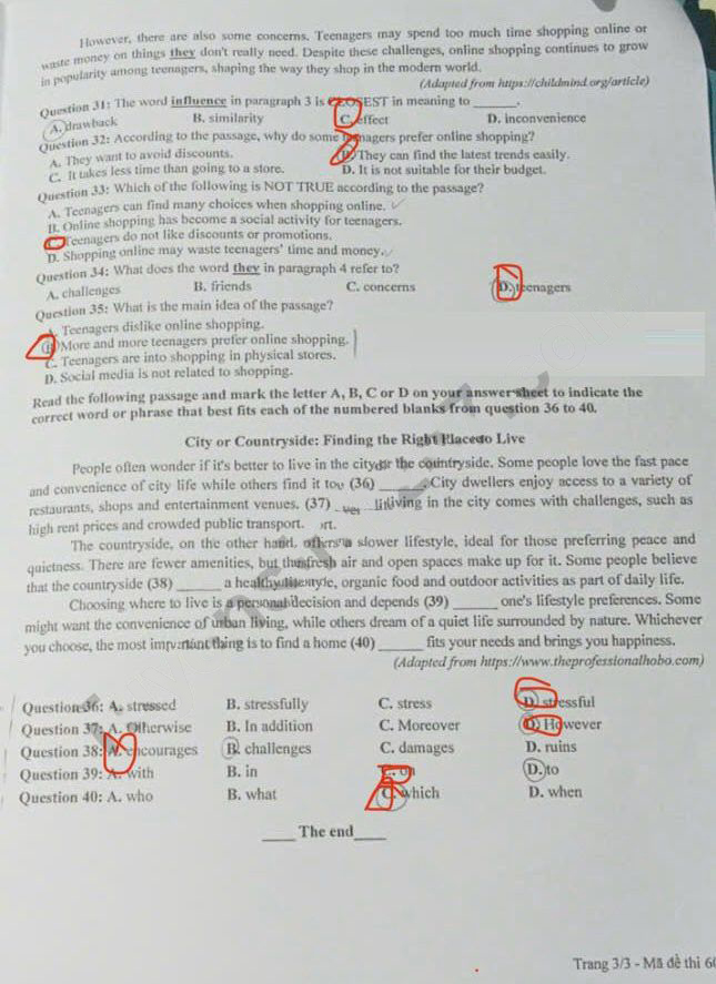Đề thi vào lớp 10 môn Anh Tuyên Quang 2025