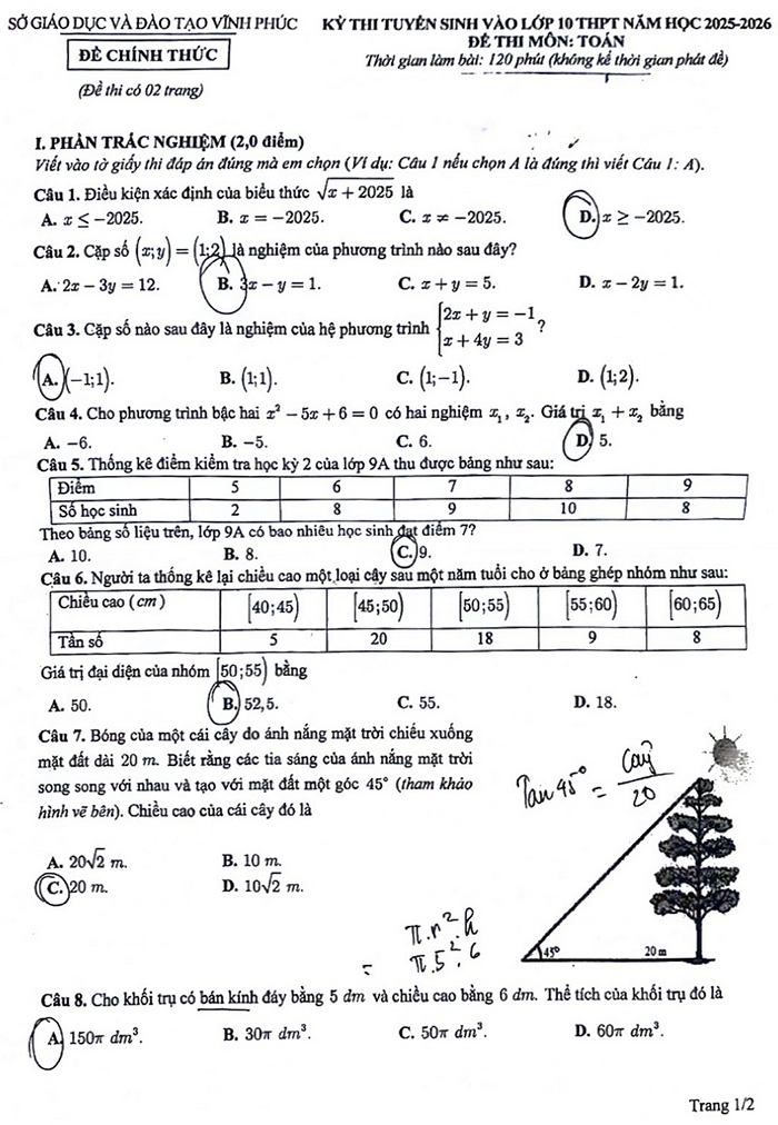 Đề thi vào 10 môn Toán Vĩnh Phúc 2025