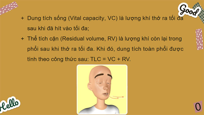 Dung tích phổi