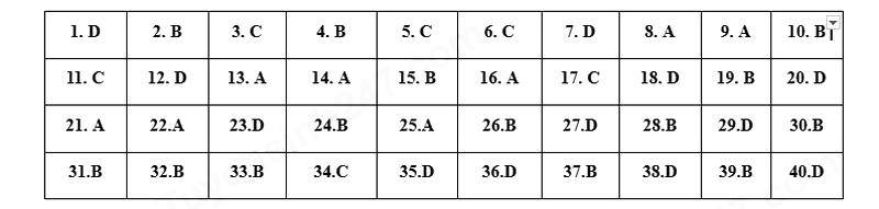 Đáp án đề thi vào lớp 10 môn Anh Nghệ An 2025