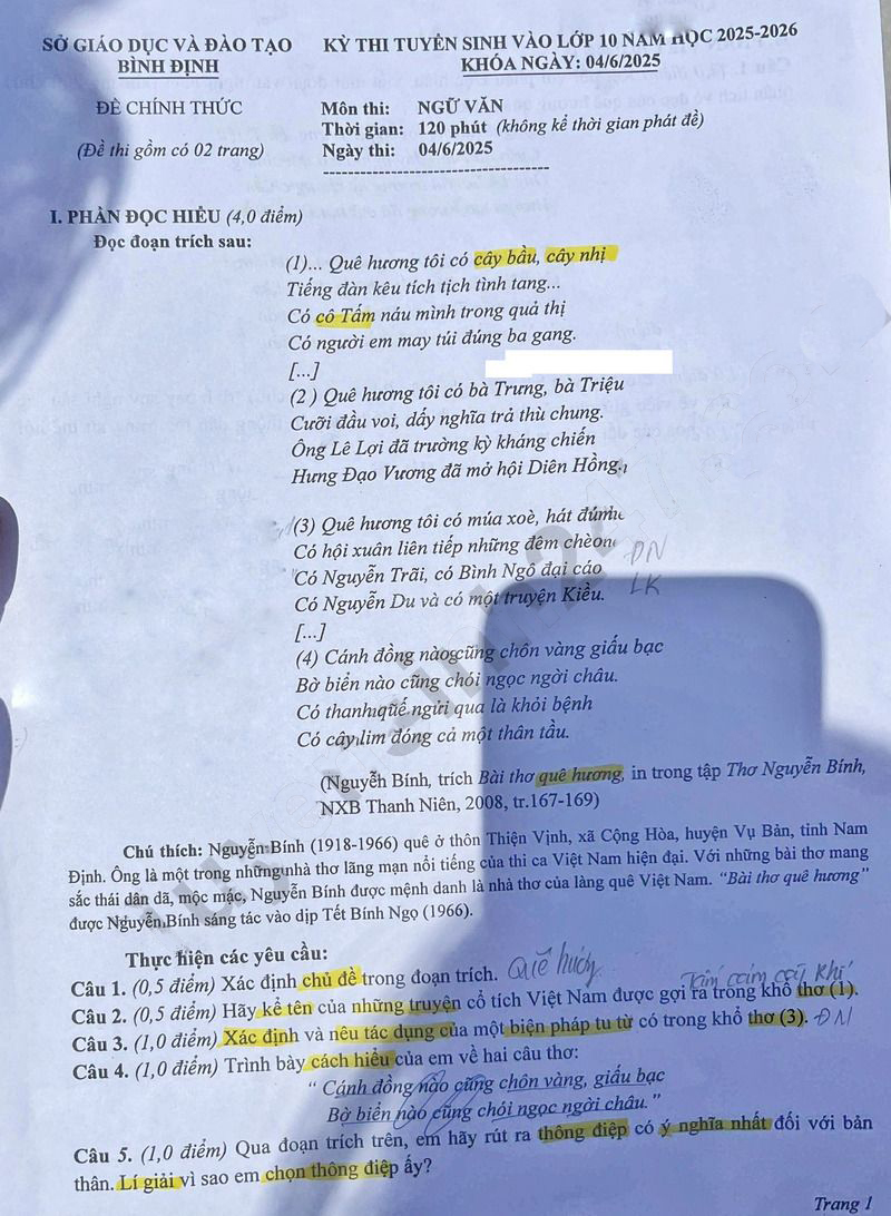 Đề thi vào lớp 10 môn Văn Bình Định 2025