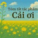 Tóm tắt tác phẩm Cải ơi