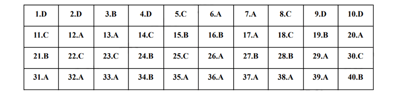 Đáp án đề thi vào lớp 10 môn Anh Long An 2025