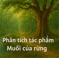 Phân tích tác phẩm Muối của rừng