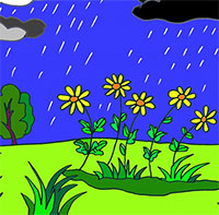 Giáo án mầm non: Mưa