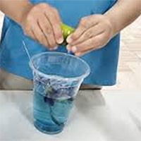 Giáo án mầm non: Sự biển đổi màu của hoa đậu biếc