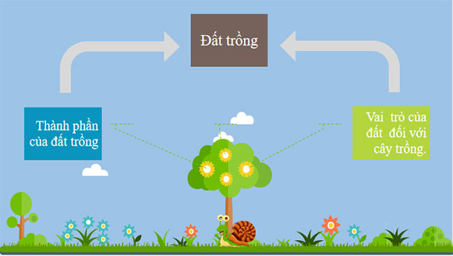 Làm đất trồng cây