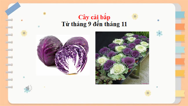 PowerPoint Công nghệ 7 Bài 3
