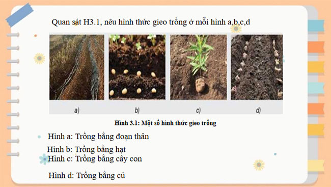 PowerPoint Công nghệ 7 Bài 3
