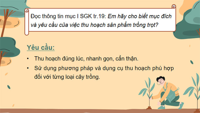 Thu hoạch sản phẩm trồng trọt