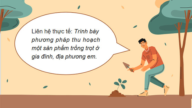 Thu hoạch sản phẩm trồng trọt