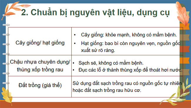 Dự án trồng rau an toàn