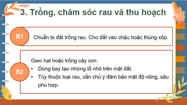 Dự án trồng rau an toàn