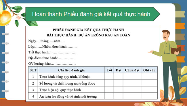 Dự án trồng rau an toàn