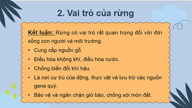 Giới thiệu về rừng