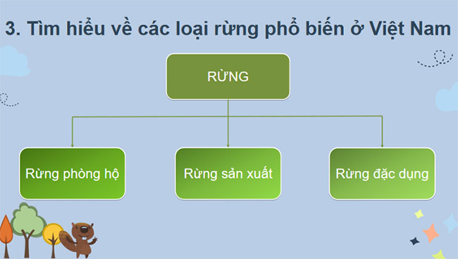 Giới thiệu về rừng