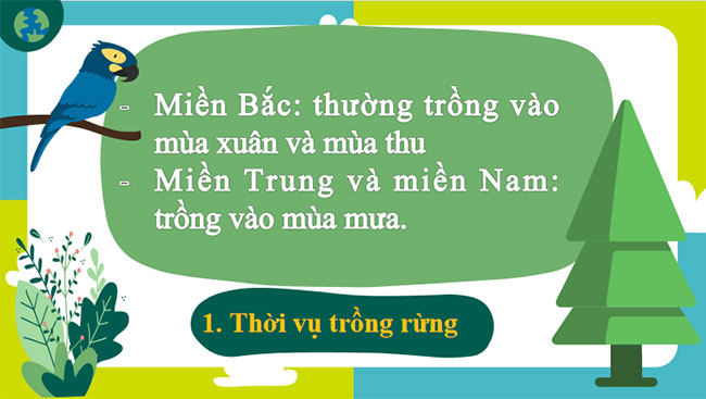 Trồng chăm sóc và bảo vệ rừng
