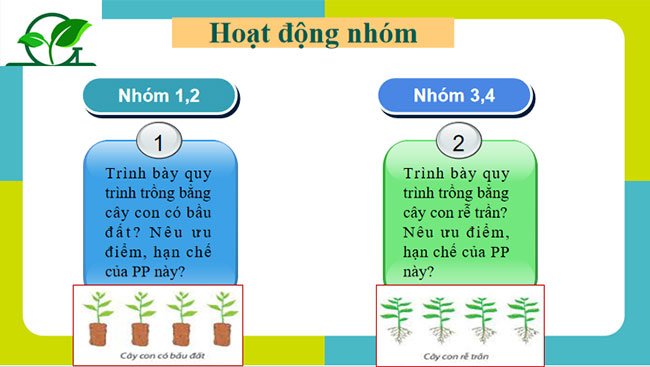Trồng chăm sóc và bảo vệ rừng