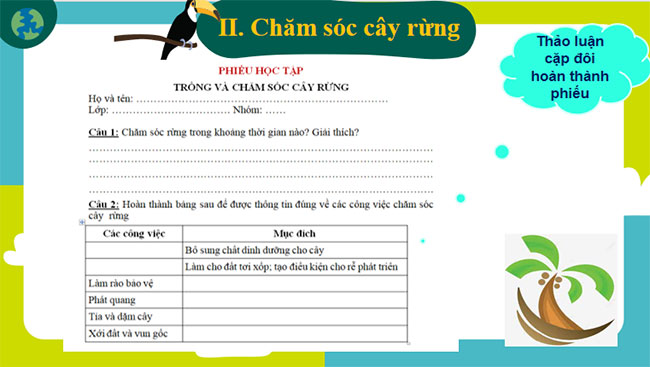 Trồng chăm sóc và bảo vệ rừng