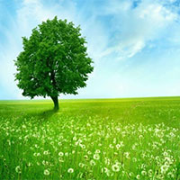 PowerPoint Công nghệ 7 Bài 1: Giới thiệu về trồng trọt