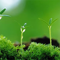 PowerPoint Công nghệ 7 Bài 2: Làm đất trồng cây