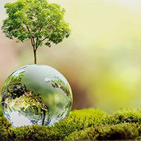 PowerPoint Công nghệ 7 Bài 4: Thu hoạch sản phẩm trồng trọt