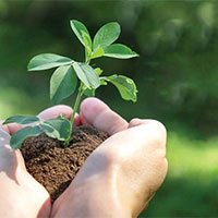 PowerPoint Công nghệ 7 Bài 7: Giới thiệu về rừng