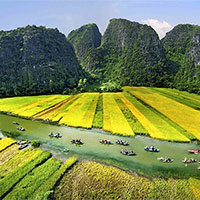 PowerPoint Công nghệ 7 Bài 8: Trồng chăm sóc và bảo vệ rừng