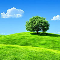 PowerPoint Công nghệ 7: Ôn tập chương 1