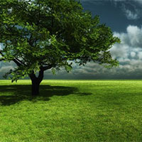 PowerPoint Công nghệ 7: Ôn tập chương 2