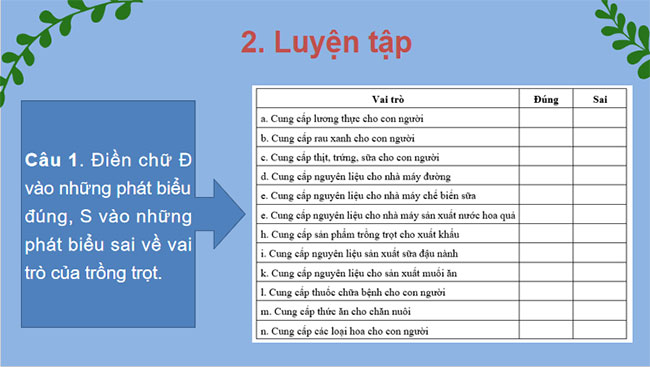 Ôn tập chương 1