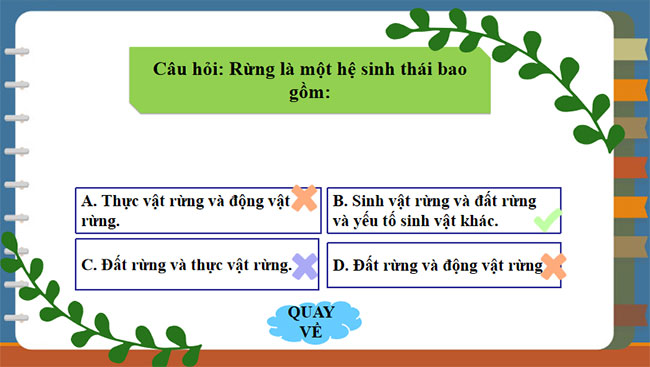 Ôn tập chương 2