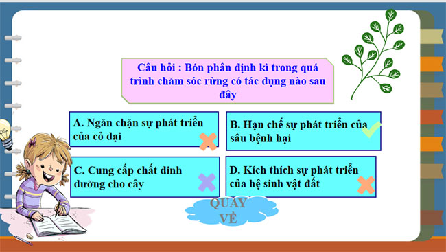 Ôn tập chương 2